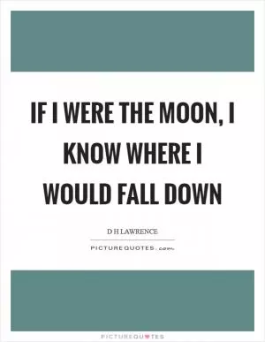 If I were the moon, I know where I would fall down Picture Quote #1