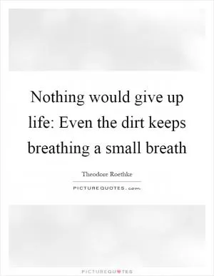 Nothing would give up life: Even the dirt keeps breathing a small breath Picture Quote #1