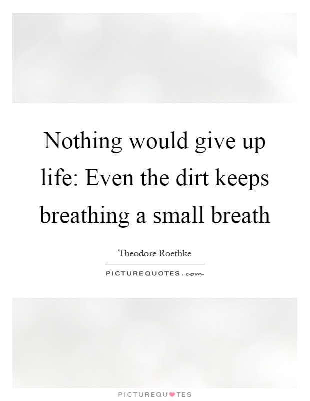 Nothing would give up life: Even the dirt keeps breathing a small breath Picture Quote #1