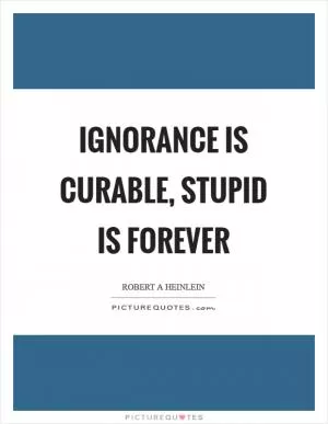Ignorance is curable, stupid is forever Picture Quote #1