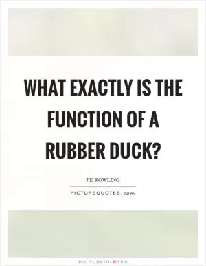 What exactly is the function of a rubber duck? Picture Quote #1