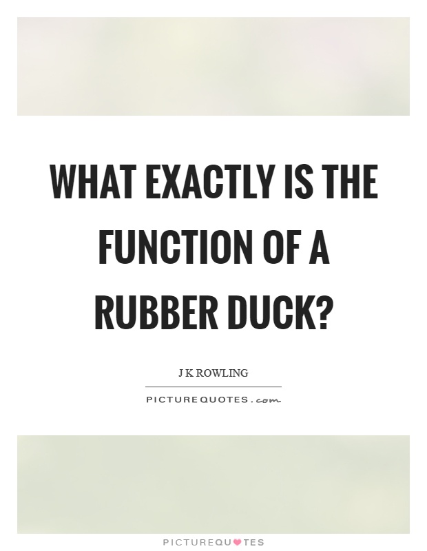 What exactly is the function of a rubber duck? Picture Quote #1