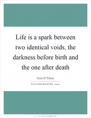 Life is a spark between two identical voids, the darkness before birth and the one after death Picture Quote #1