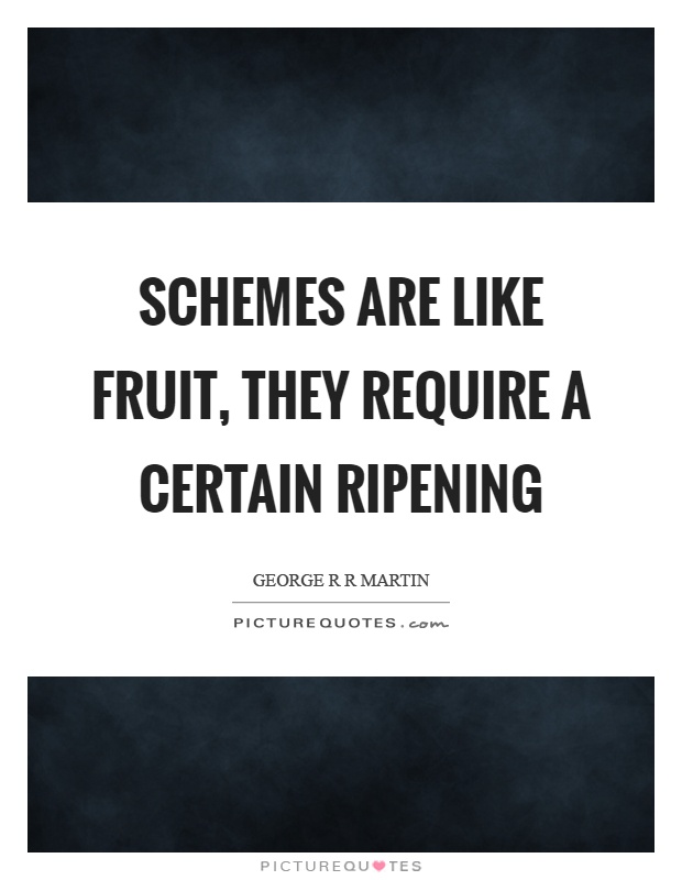 Schemes are like fruit, they require a certain ripening Picture Quote #1