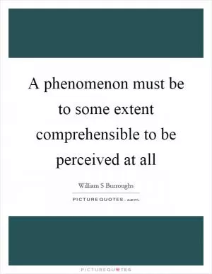 A phenomenon must be to some extent comprehensible to be perceived at all Picture Quote #1