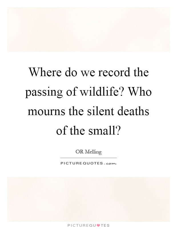 Where do we record the passing of wildlife? Who mourns the silent deaths of the small? Picture Quote #1