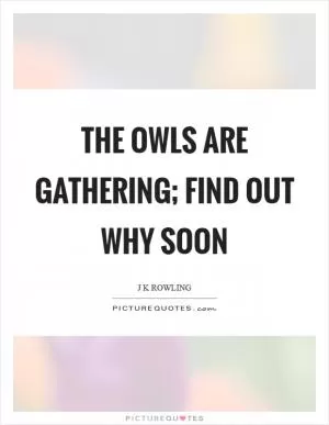 The owls are gathering; find out why soon Picture Quote #1