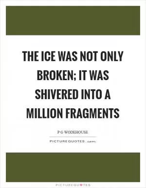 The ice was not only broken; it was shivered into a million fragments Picture Quote #1