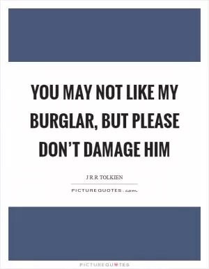 You may not like my burglar, but please don’t damage him Picture Quote #1