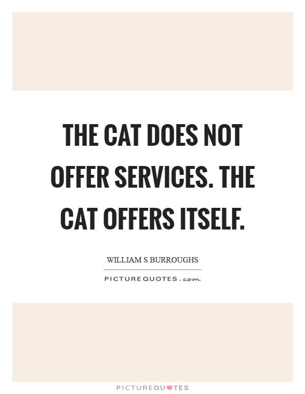 The cat does not offer services. The cat offers itself Picture Quote #1