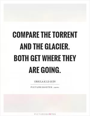 Compare the torrent and the glacier. Both get where they are going Picture Quote #1