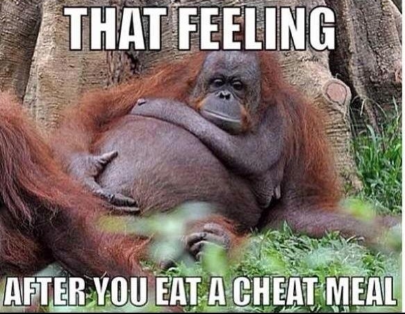 Cheating On Diet Quote 3 Picture Quote #1
