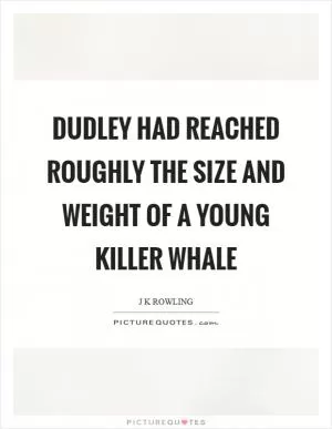 Dudley had reached roughly the size and weight of a young killer whale Picture Quote #1