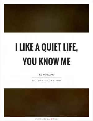I like a quiet life, you know me Picture Quote #1