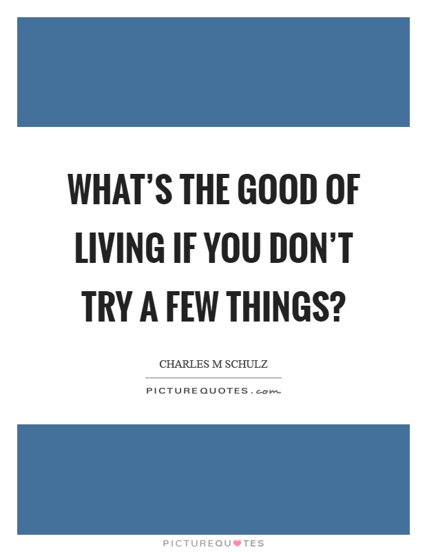 What's the good of living if you don't try a few things? Picture Quote #1