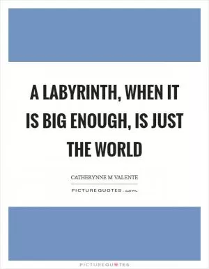 A labyrinth, when it is big enough, is just the world Picture Quote #1