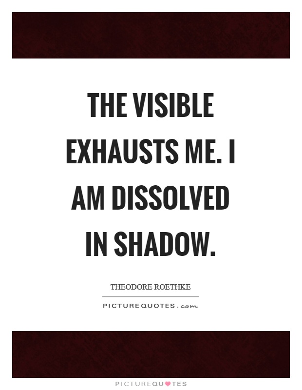 The visible exhausts me. I am dissolved in shadow Picture Quote #1