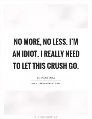 No more, no less. I’m an idiot. I really need to let this crush go Picture Quote #1