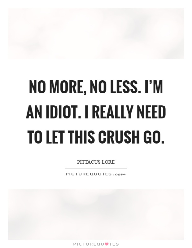 No more, no less. I'm an idiot. I really need to let this crush go Picture Quote #1