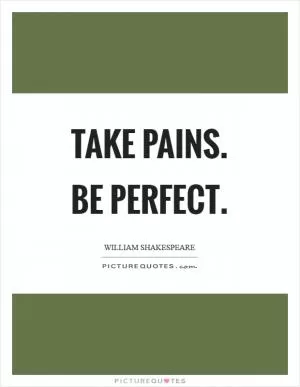 Take pains. Be perfect Picture Quote #1