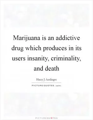 Marijuana is an addictive drug which produces in its users insanity, criminality, and death Picture Quote #1