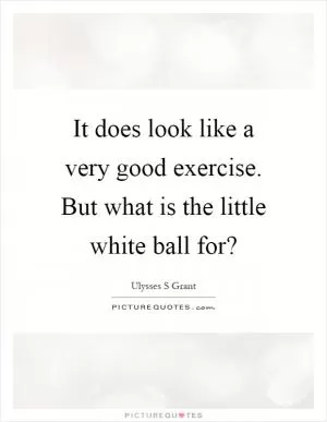 It does look like a very good exercise. But what is the little white ball for? Picture Quote #1
