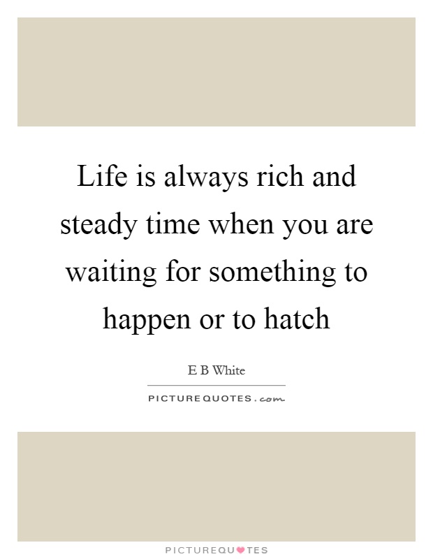 Life is always rich and steady time when you are waiting for something to happen or to hatch Picture Quote #1