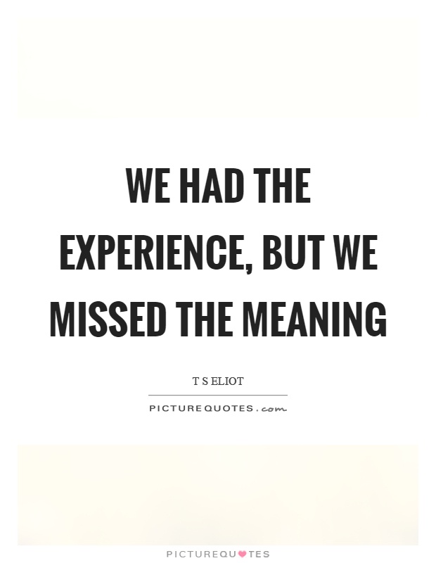 We had the experience, but we missed the meaning Picture Quote #1