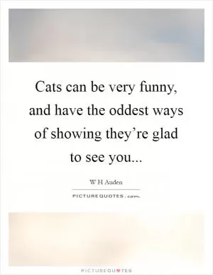 Cats can be very funny, and have the oddest ways of showing they’re glad to see you Picture Quote #1