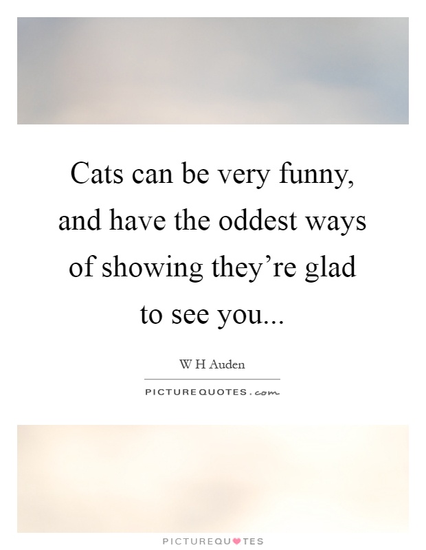 Cats can be very funny, and have the oddest ways of showing they're glad to see you Picture Quote #1