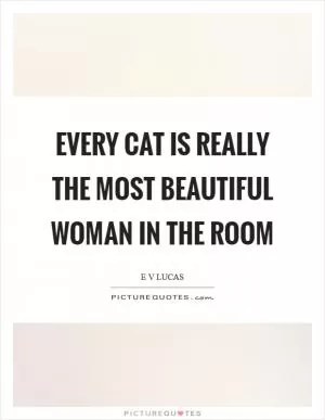 Every cat is really the most beautiful woman in the room Picture Quote #1