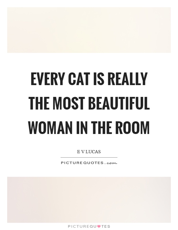 Every cat is really the most beautiful woman in the room Picture Quote #1