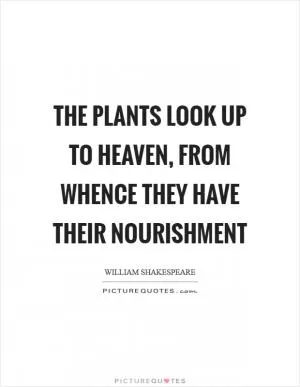 The plants look up to heaven, from whence they have their nourishment Picture Quote #1