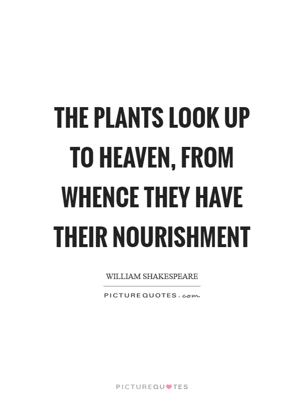The plants look up to heaven, from whence they have their nourishment Picture Quote #1