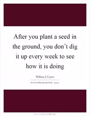 After you plant a seed in the ground, you don’t dig it up every week to see how it is doing Picture Quote #1