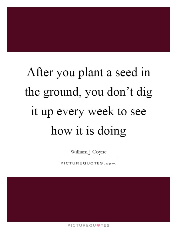 After you plant a seed in the ground, you don't dig it up every week to see how it is doing Picture Quote #1
