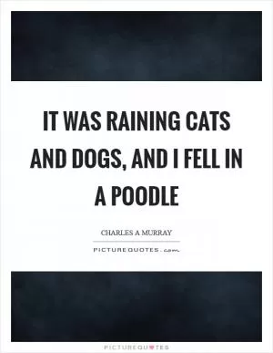 It was raining cats and dogs, and I fell in a poodle Picture Quote #1