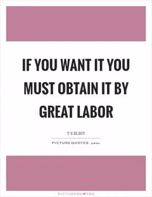 If you want it you must obtain it by great labor Picture Quote #1