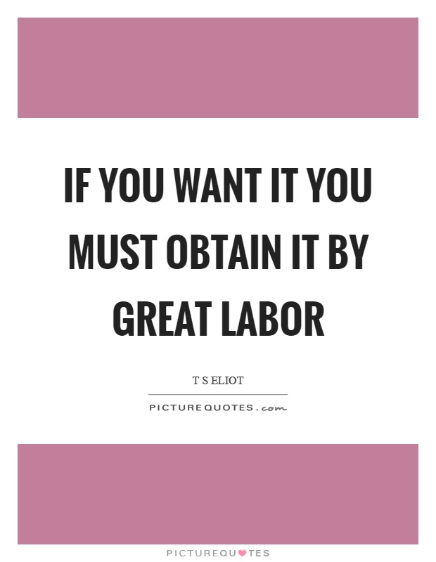 If you want it you must obtain it by great labor Picture Quote #1