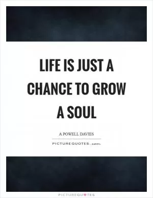 Life is just a chance to grow a soul Picture Quote #1