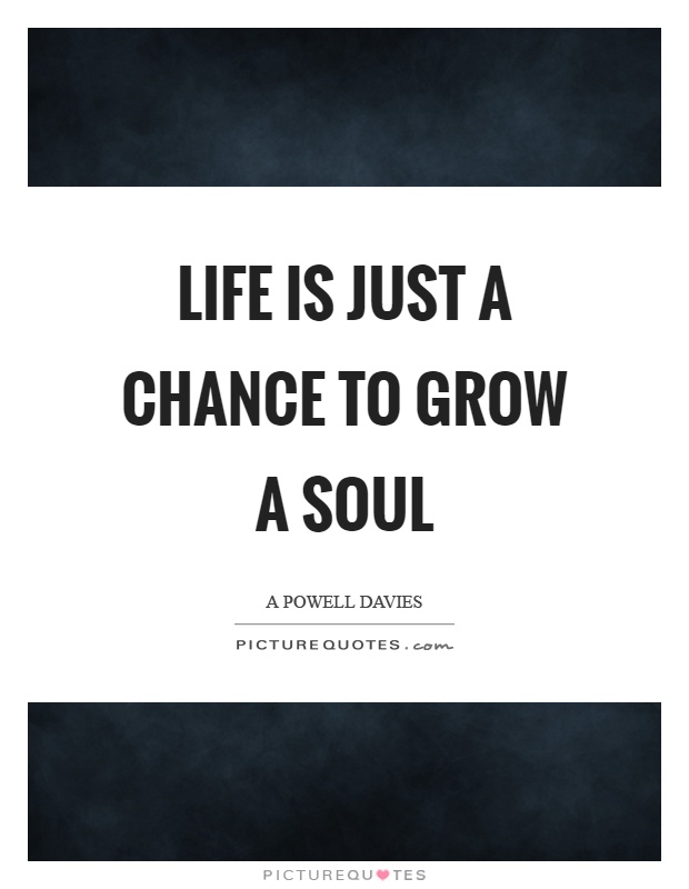 Life is just a chance to grow a soul Picture Quote #1