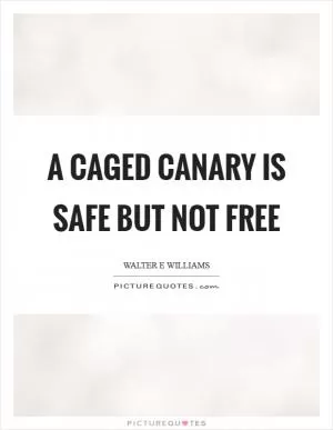 A caged canary is safe but not free Picture Quote #1