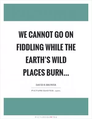 We cannot go on fiddling while the earth’s wild places burn Picture Quote #1