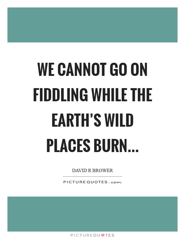 We cannot go on fiddling while the earth's wild places burn Picture Quote #1