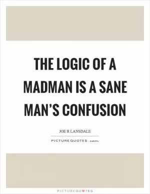 The logic of a madman is a sane man’s confusion Picture Quote #1