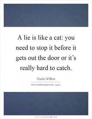 A lie is like a cat: you need to stop it before it gets out the door or it’s really hard to catch Picture Quote #1