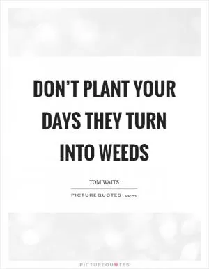 Don’t plant your days they turn into weeds Picture Quote #1