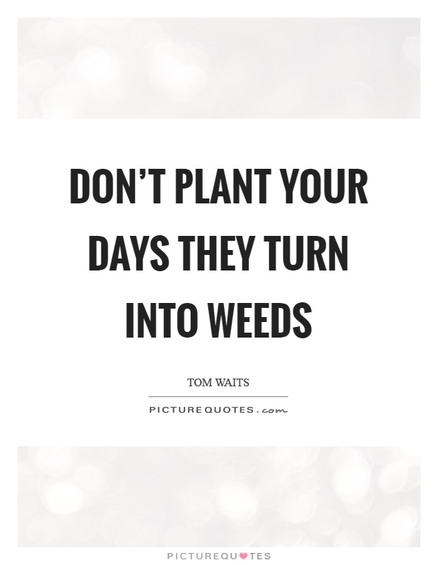 Don't plant your days they turn into weeds Picture Quote #1