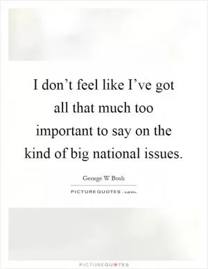 I don’t feel like I’ve got all that much too important to say on the kind of big national issues Picture Quote #1
