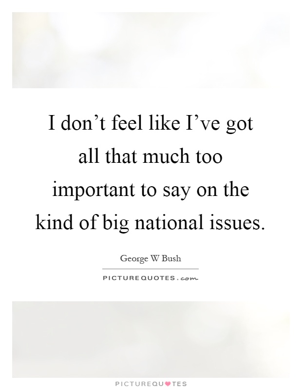 I don't feel like I've got all that much too important to say on the kind of big national issues Picture Quote #1